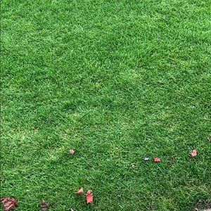 Meet your Posher, Danica